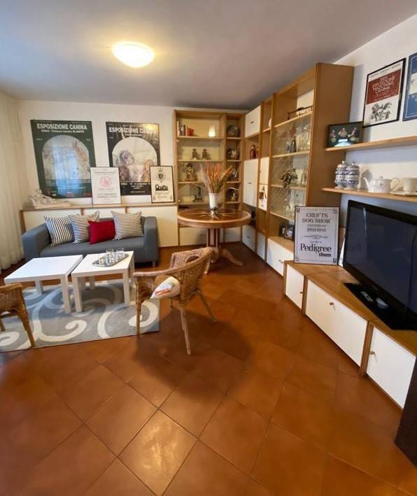 casa indipendente in affitto a Viareggio in zona Torre del Lago