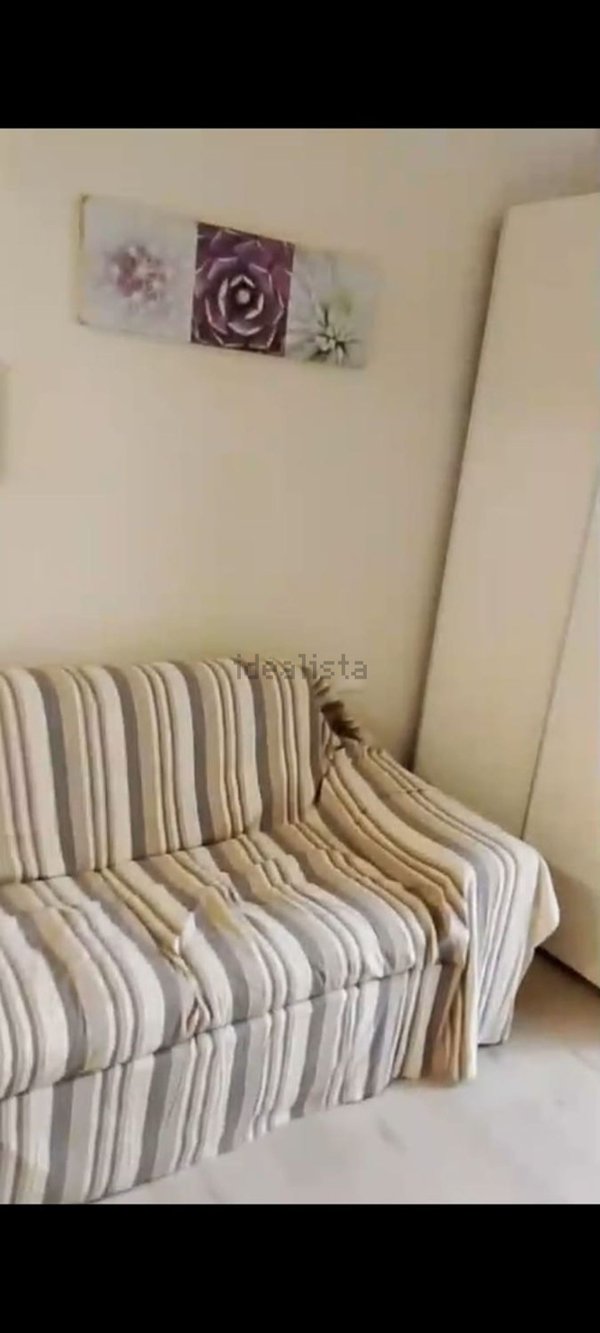 appartamento in affitto a Viareggio