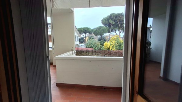 appartamento in affitto a Viareggio