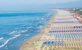 appartamento in affitto a Viareggio