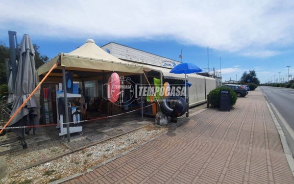 negozio in affitto a Viareggio in zona Centro Storico