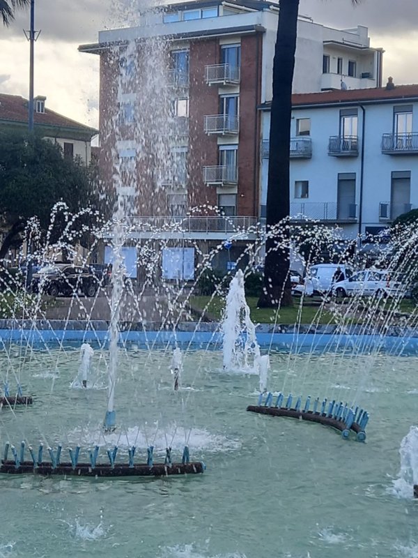 negozio in affitto a Viareggio