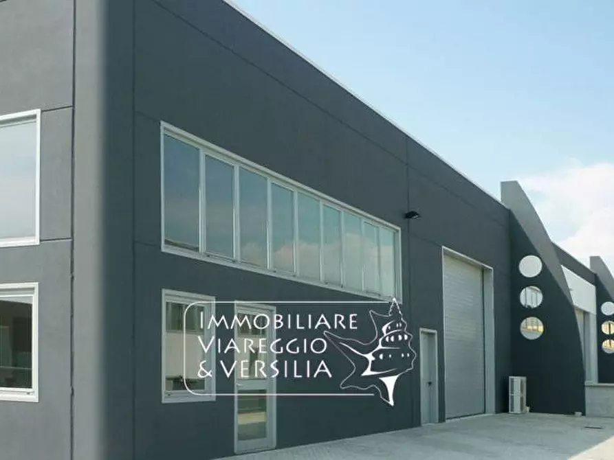 capannone in affitto a Viareggio