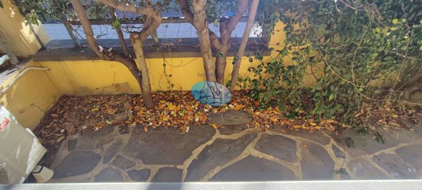 appartamento in affitto a Viareggio