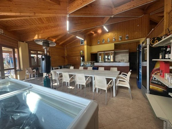 appartamento in affitto a Viareggio