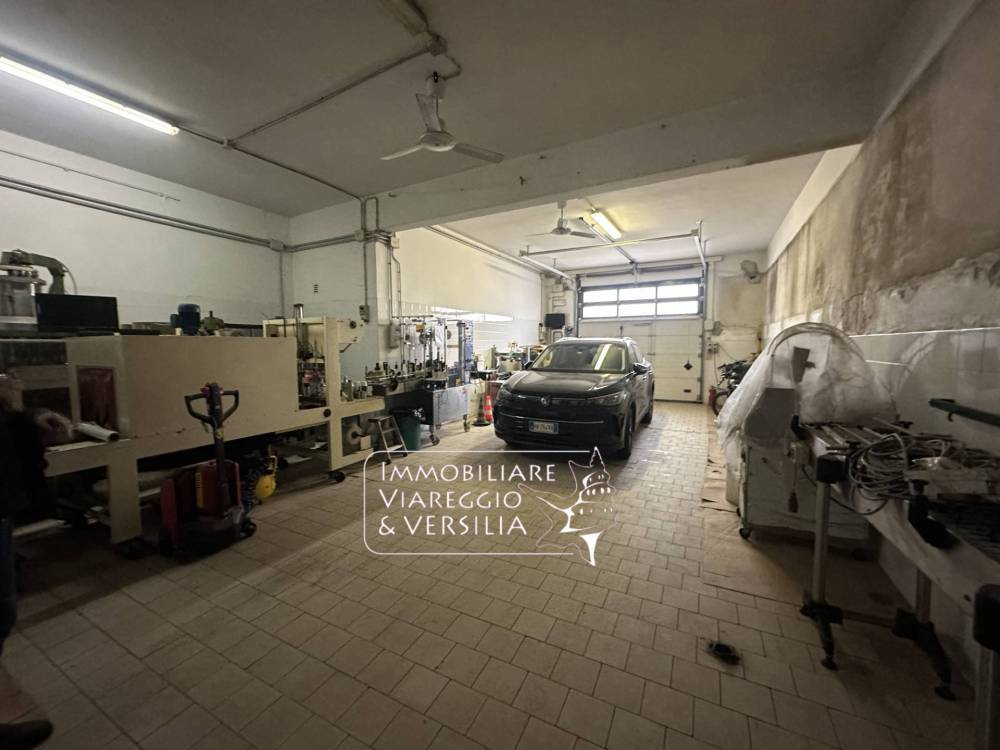 trivano in affitto a Viareggio in zona Centro Storico