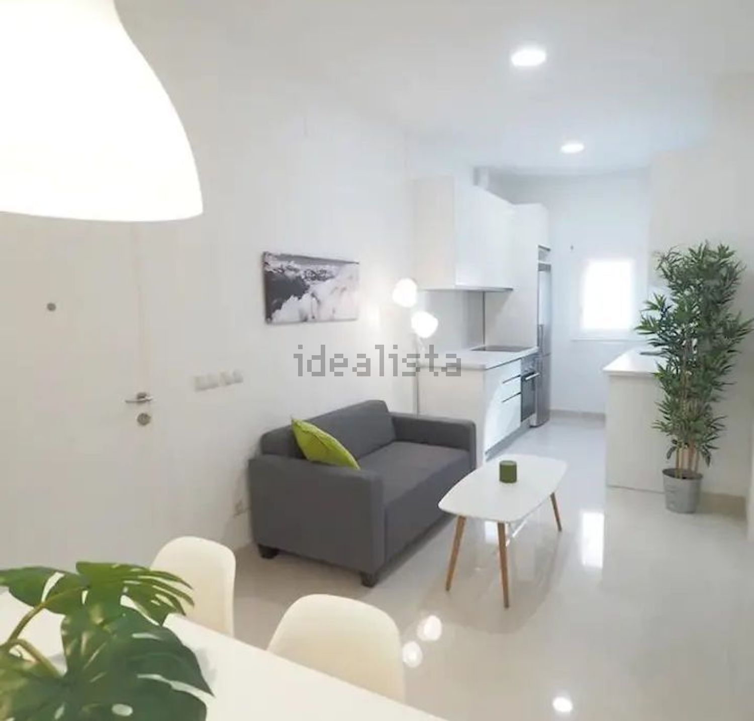 appartamento in affitto a Viareggio