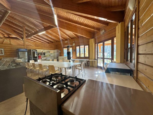 negozio in affitto a Viareggio