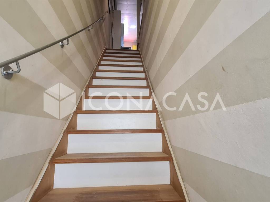 appartamento in affitto a Viareggio