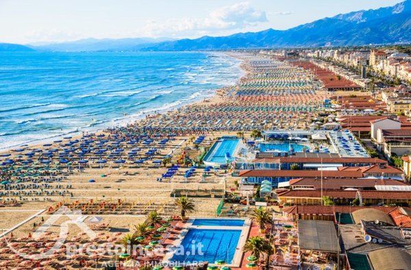 negozio in affitto a Viareggio