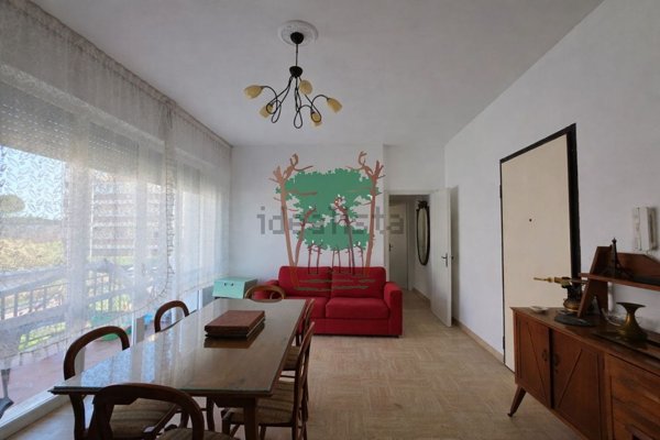 appartamento in affitto a Viareggio