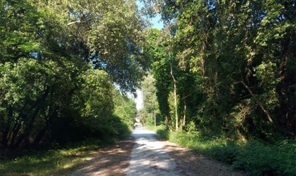 casa indipendente in affitto a Viareggio in zona Campo d'Aviazione