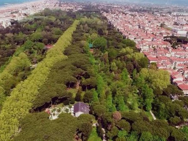 casa indipendente in affitto a Viareggio in zona Campo d'Aviazione