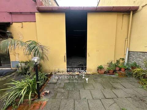 negozio in affitto a Viareggio