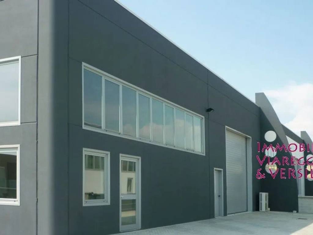 negozio in affitto a Viareggio in zona Migliarina