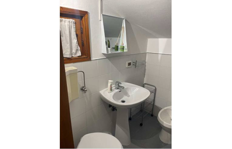 appartamento in affitto a Viareggio