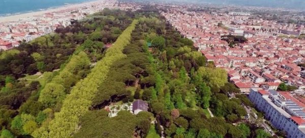 casa indipendente in affitto a Viareggio in zona Campo d'Aviazione