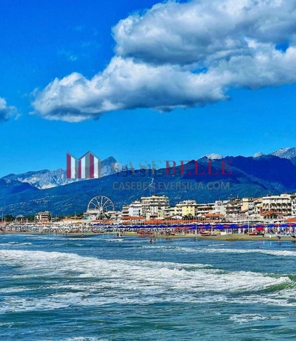 negozio in affitto a Viareggio