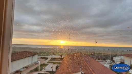 appartamento in affitto a Viareggio