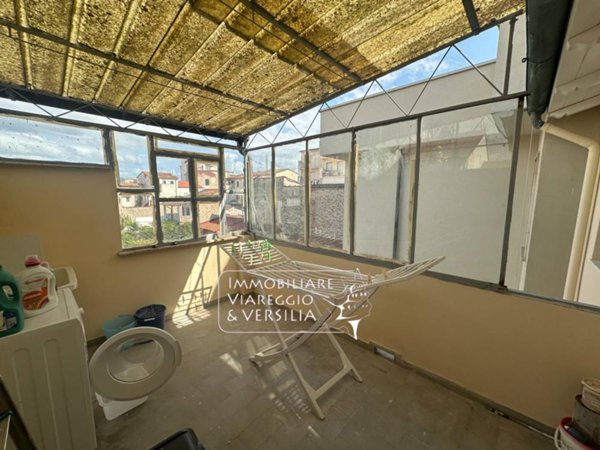 casa indipendente in affitto a Viareggio