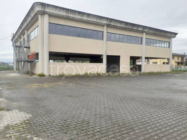capannone in affitto a Buggiano