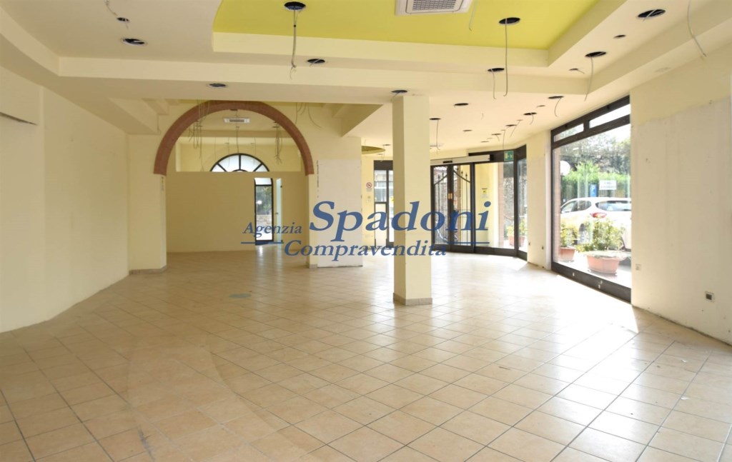 immagine annuncio 0 di 14