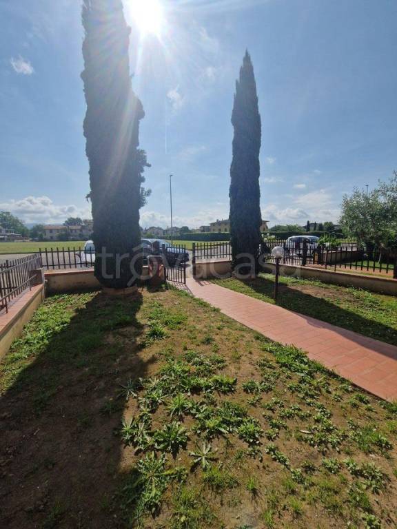 appartamento in affitto a Massa e Cozzile