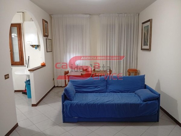 appartamento in affitto a Massa e Cozzile in zona Margine Coperta