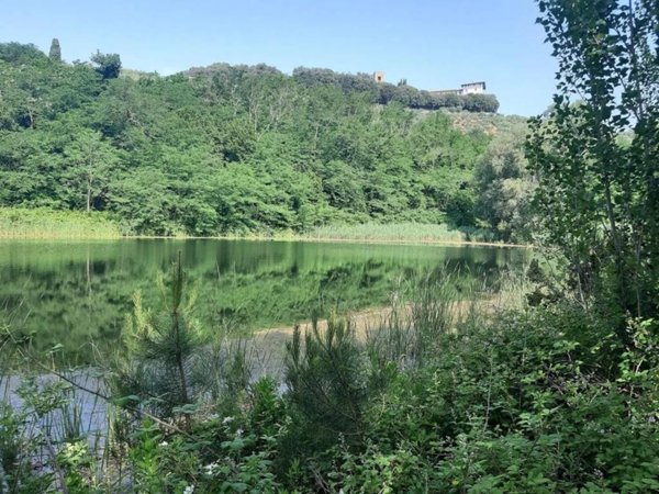 negozio in affitto a Monsummano Terme in zona Montevettolini