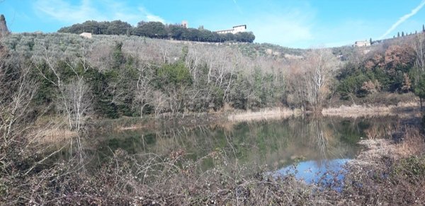 ufficio in affitto a Monsummano Terme in zona Montevettolini