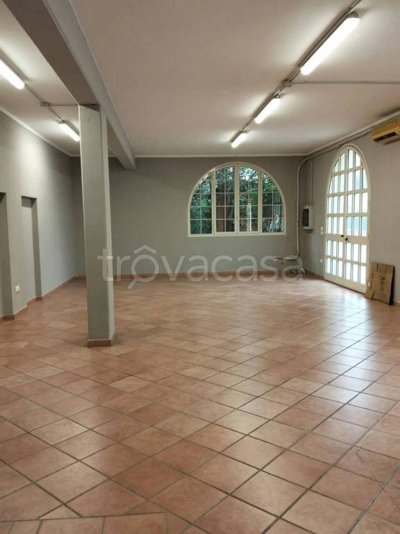 locale commerciale in affitto a Monsummano Terme