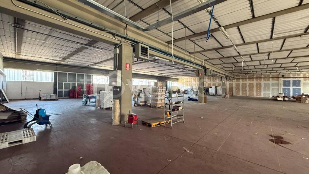 locale commerciale in affitto a Monsummano Terme