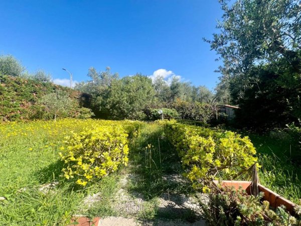 appartamento in affitto a Montale