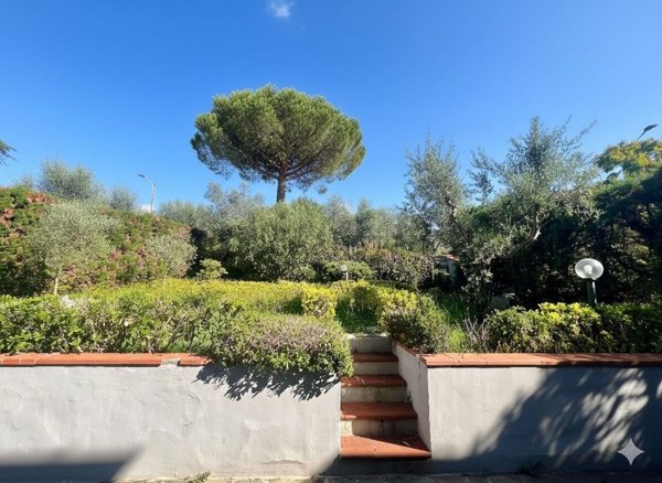 appartamento in affitto a Montale