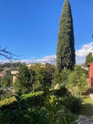 appartamento in affitto a Montecatini-Terme