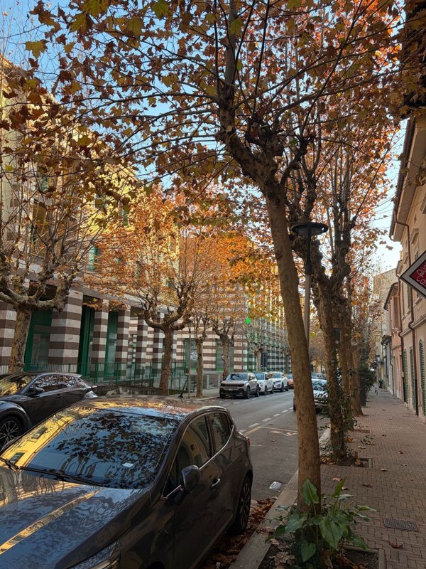 ufficio in affitto a Montecatini-Terme