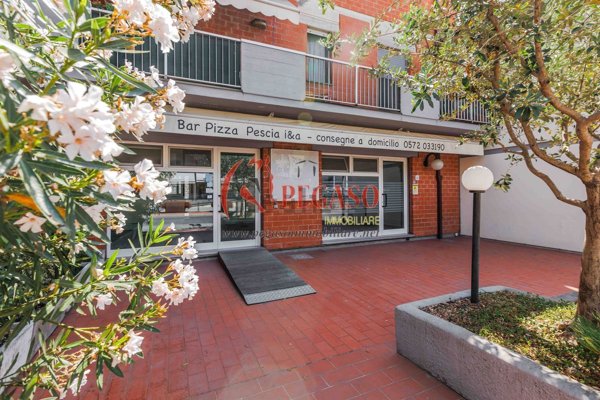 loft in affitto a Pescia