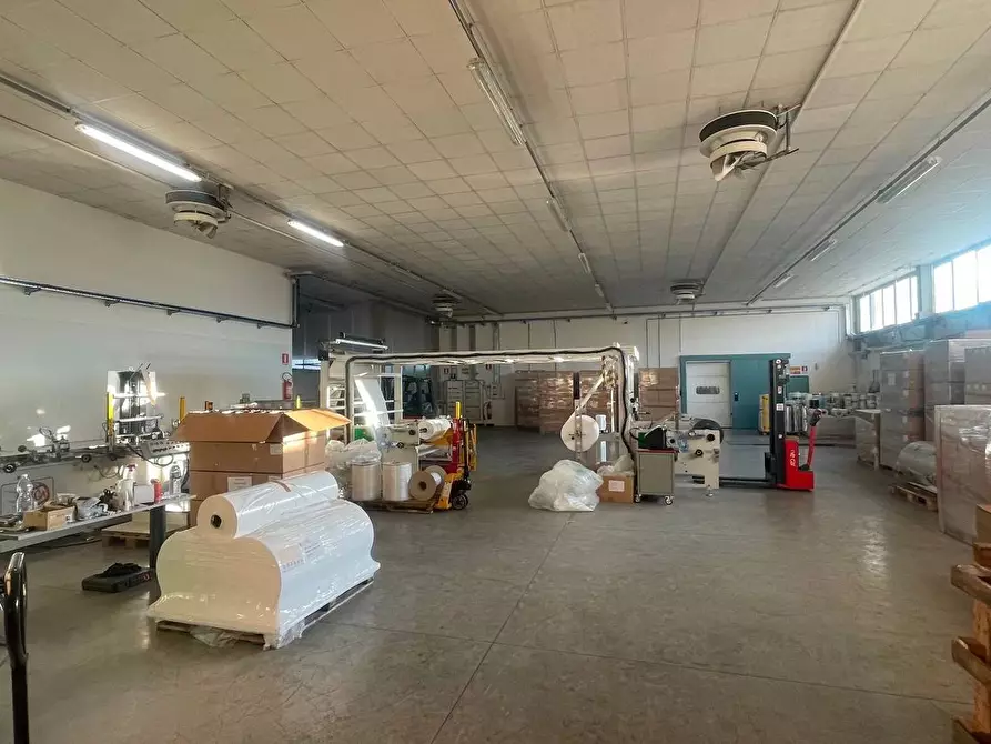 capannone in affitto a Pescia