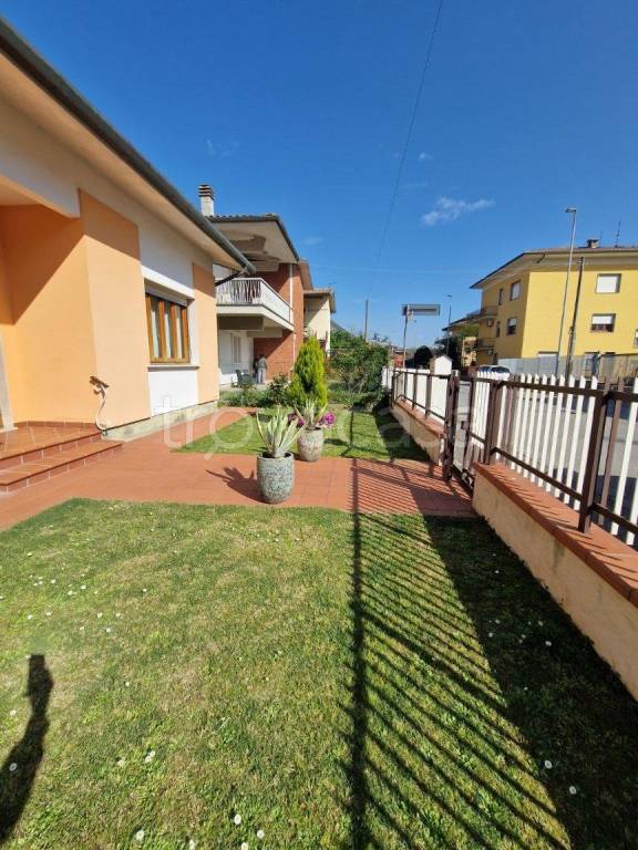 casa indipendente in affitto a Pieve a Nievole