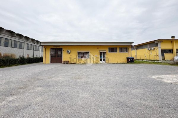 capannone in affitto a Pieve a Nievole