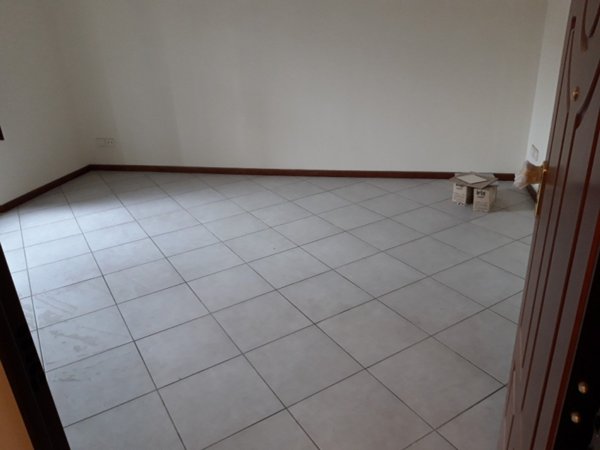appartamento in affitto a Pistoia