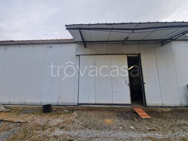 locale commerciale in affitto a Pistoia in zona Bottegone