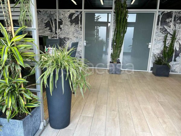 ufficio in affitto a Pistoia