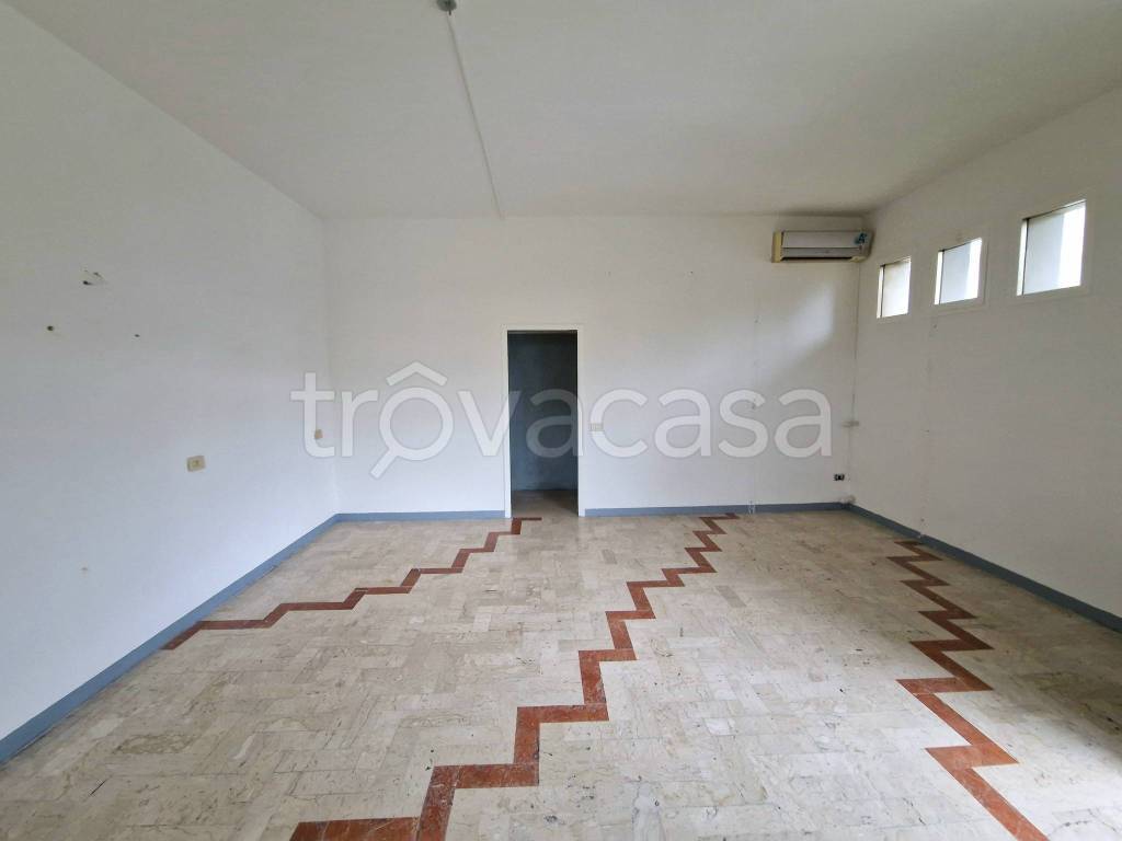 immagine annuncio 0 di 7