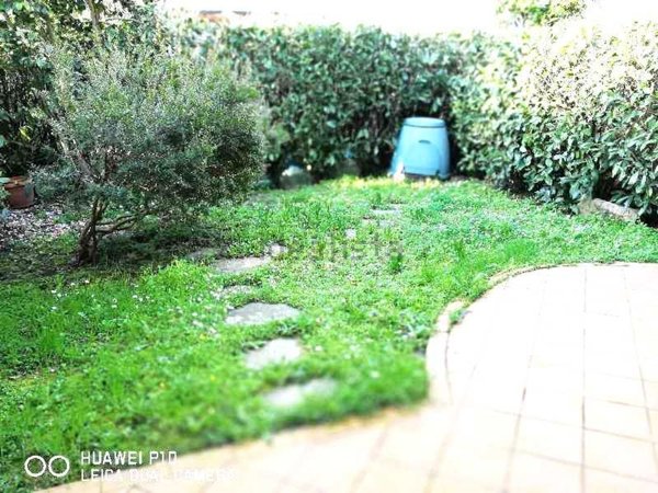 casa indipendente in affitto a Pistoia