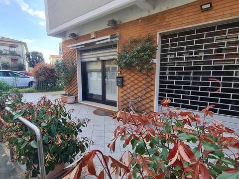 negozio in affitto a Pistoia in zona Stadio