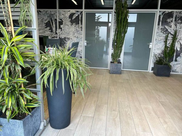 ufficio in affitto a Pistoia