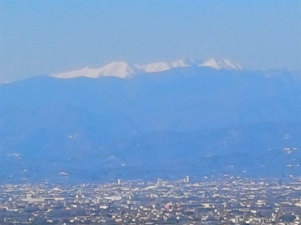 quadrivano in affitto a Quarrata in zona Tizzana
