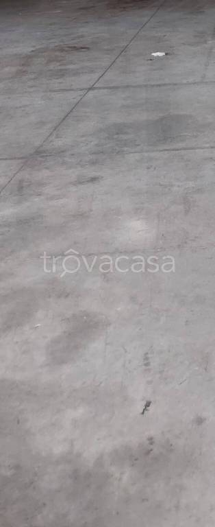 appartamento in affitto a Quarrata