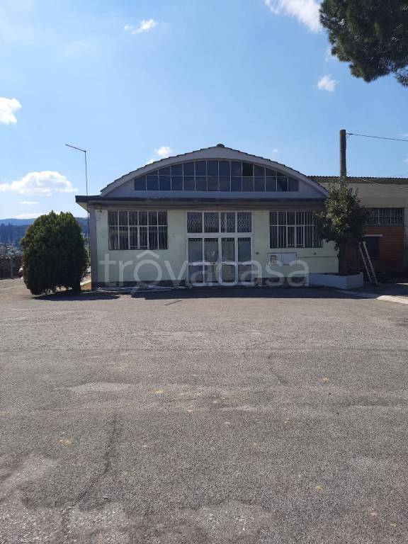 appartamento in affitto a Quarrata in zona Catena